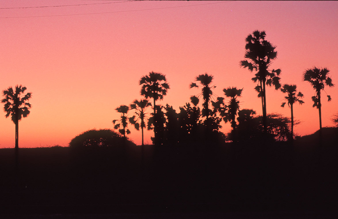 Sri Lanka 1982-02-120.jpg