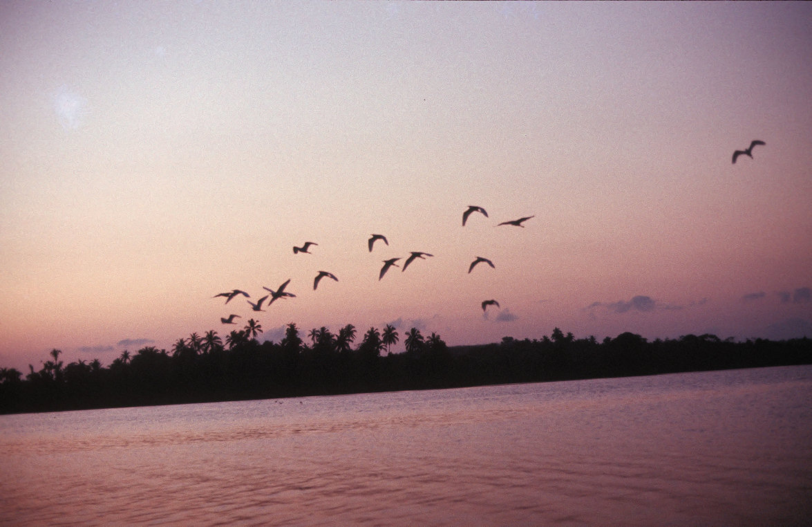 Sri Lanka 1982-02-151.jpg