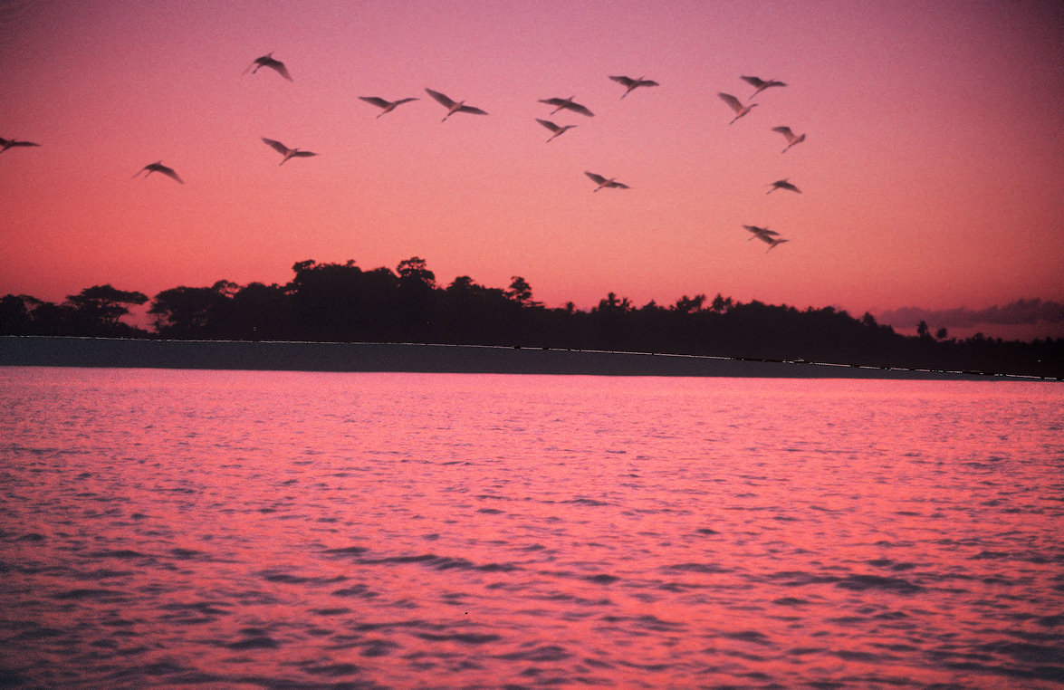 Sri Lanka 1982-02-152.jpg