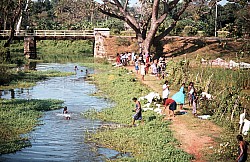 Thumbnail of Sri Lanka 1982-02-100.jpg