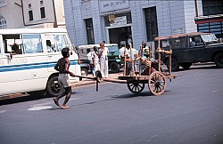 Thumbnail of Sri Lanka 1982-02-128.jpg