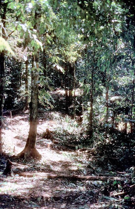 Sud Mittel Ecuador-01-187.jpg