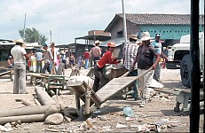 Thumbnail of Sud Mittel Ecuador-01-171.jpg
