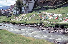 Thumbnail of Sud Mittel Ecuador-01-172.jpg