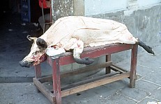Thumbnail of Sud Mittel Ecuador-01-179.jpg