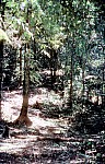 Thumbnail of Sud Mittel Ecuador-01-187.jpg