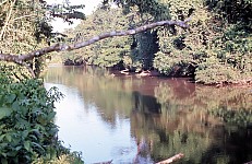 Thumbnail of Sud Mittel Ecuador-01-188.jpg