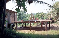 Thumbnail of Sud Mittel Ecuador-01-192.jpg