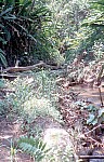 Thumbnail of Sud Mittel Ecuador-01-198.jpg