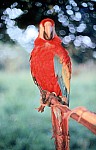 Thumbnail of Sud Mittel Ecuador-02-002.jpg