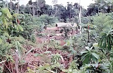 Thumbnail of Sud Mittel Ecuador-02-004.jpg