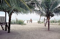 Thumbnail of Sud Mittel Ecuador-02-032.jpg