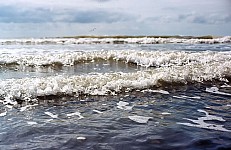 Thumbnail of Sud Mittel Ecuador-02-034.jpg