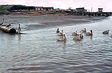 Thumbnail of Sud Mittel Ecuador-02-044.jpg