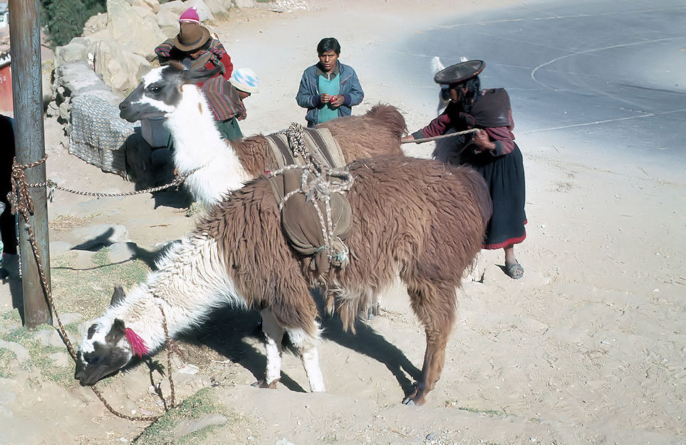 Sud Mittel Peru-01-138.jpg