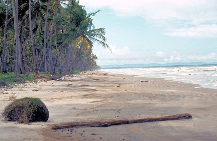 Trinidad-02-110.jpg
