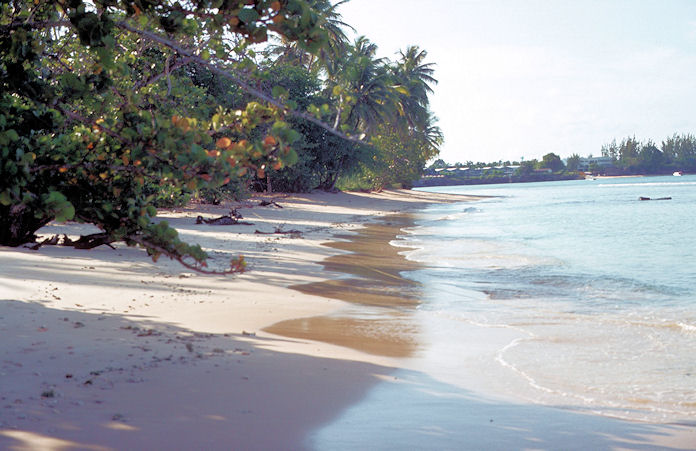 Trinidad-02-118.jpg