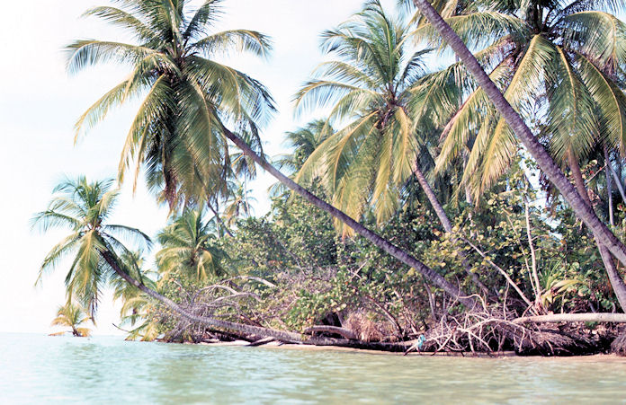 Trinidad-02-126.jpg