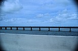 Thumbnail of Florida 02-022.jpg