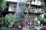 Thumbnail of Florida 02-028_Haus von Hemingway.jpg