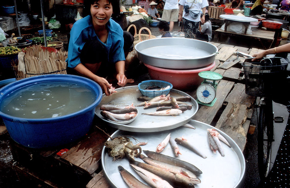 Vietnam Brunei Malaysia-01-101.jpg