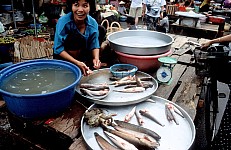 Thumbnail of Vietnam Brunei Malaysia-01-101.jpg