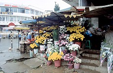 Thumbnail of Vietnam Brunei Malaysia-01-144.jpg