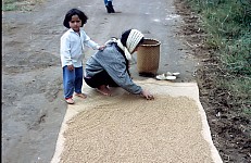 Thumbnail of Vietnam Brunei Malaysia-02-003.jpg