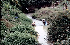 Thumbnail of Vietnam Brunei Malaysia-02-004.jpg