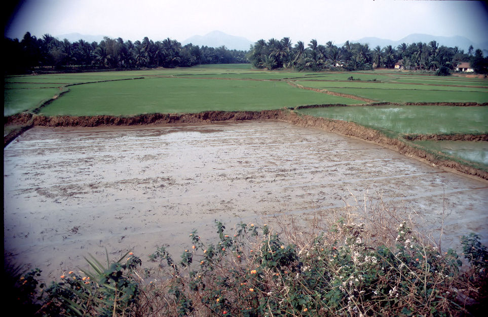 Vietnam Brunei Malaysia-02-037.jpg