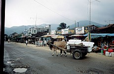 Thumbnail of Vietnam Brunei Malaysia-02-033.jpg